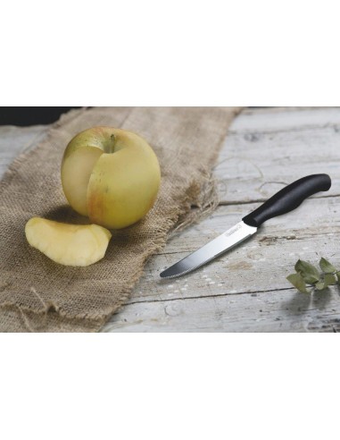 SET 6 COLTELLI TAVOLA 21CM PUNTA... SET 6 COLTELLI TAVOLA 21CM PUNTA...