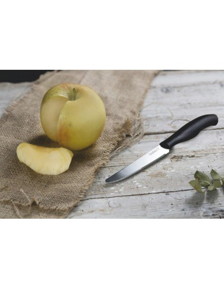 SET 6 COLTELLI TAVOLA 21CM PUNTA TONDA 3 COLORI ASSORTITI