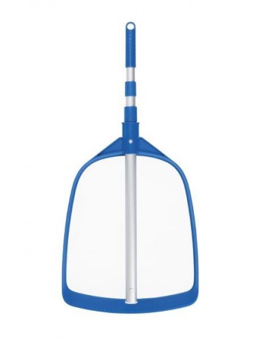 RETINO SUPERFICIE FOGLIE CON ASTA RETINO SUPERFICIE FOGLIE CON ASTA