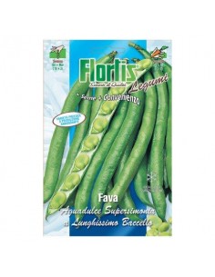 SEMI IN BUSTA FAVA... 2