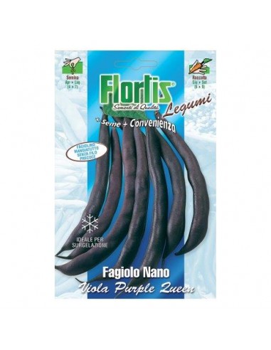 SEMI IN BUSTA FAGIOLO N.PURPLE QUEEN70G SEMI IN BUSTA FAGIOLO N.PURPLE QUEEN70G