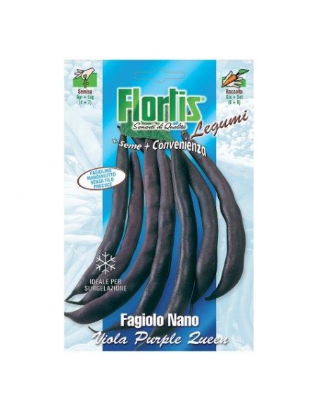 SEMI IN BUSTA FAGIOLO N.PURPLE QUEEN70G