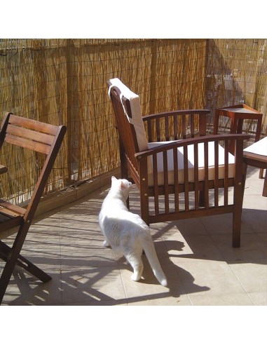 ARELLA CANNUCCIATA 2X3M ARELLA CANNUCCIATA 2X3M