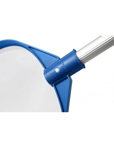 RETINO SUPERFICIE FOGLIE CON ASTA RETINO SUPERFICIE FOGLIE CON ASTA