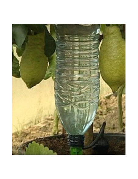 IL DISSETA PIANTE TEKNO POKER 4 PEZZI