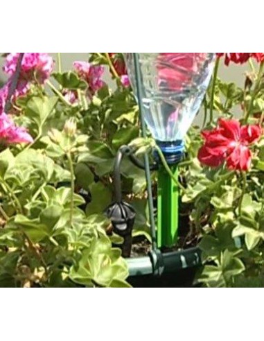 IL DISSETA PIANTE TEKNO POKER 4 PEZZI IL DISSETA PIANTE TEKNO POKER 4 PEZZI