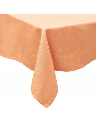 TOVAGLIA ANTIMACCHIA PASTELLO... TOVAGLIA ANTIMACCHIA PASTELLO...