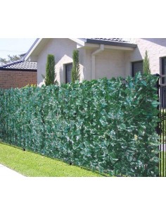 SIEPE EDERA H.100 E/MT LINEARE