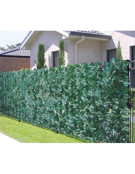 SIEPE EDERA H.100 E/MT LINEARE