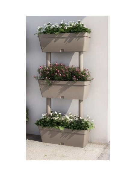 ORTO IN CASA TORTORA