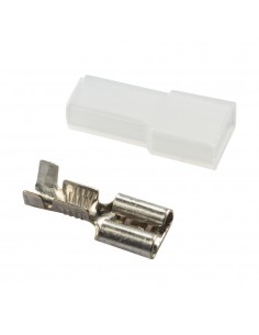 20 CONNESSIONI FEMMINA +...