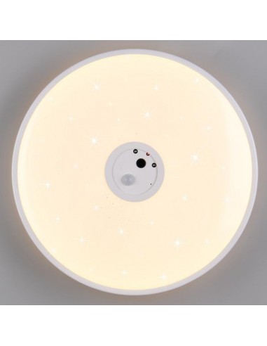 ASPETTA PLAFONIERA CON VIDEOCAMERA D.40 ASPETTA PLAFONIERA CON VIDEOCAMERA D.40