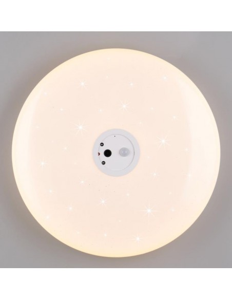 VEDERA PLAFONIERA CON VIDEOCAMERA D.40