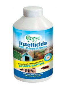 PBK INSETTICIDA POLVERE 250 G