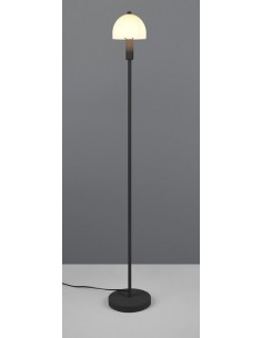 "GLENN" PIANTANA NERO H120