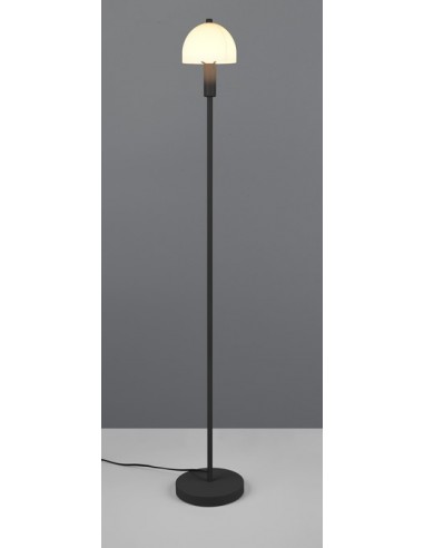 "GLENN" PIANTANA NERO H120 "GLENN" PIANTANA NERO H120