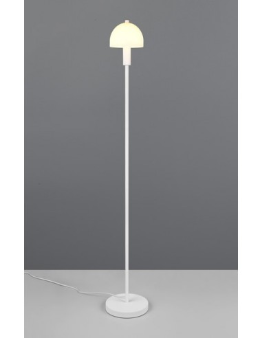 "GLENN" PIANTANA BIANCO H120 "GLENN" PIANTANA BIANCO H120