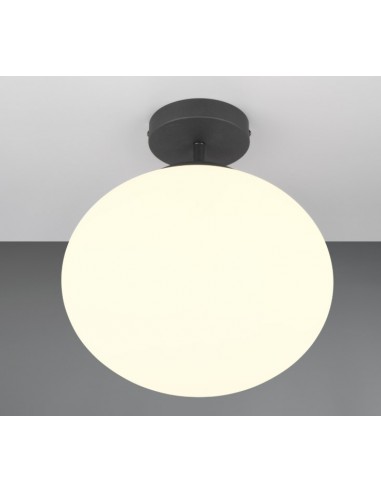"FOMENTO" PLAFONIERA METALLO NERO D30 "FOMENTO" PLAFONIERA METALLO NERO D30