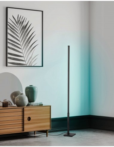 PIANTANA LED "PICACHA" RGB MULTICOLOR... PIANTANA LED "PICACHA" RGB MULTICOLOR...