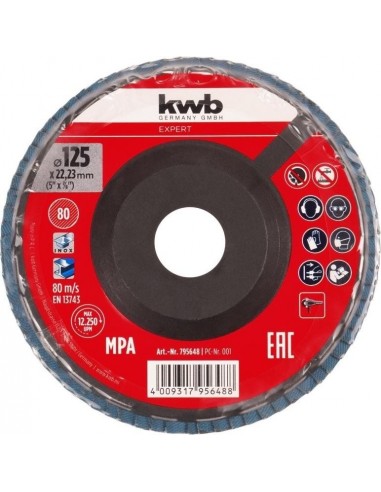 DISCO LAMELLARE IN ZIRCONIO DIAM. 125... DISCO LAMELLARE IN ZIRCONIO DIAM. 125...