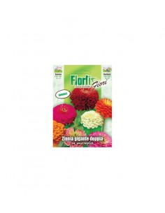 ZINNIA GIGANTE DOPPIA MIX