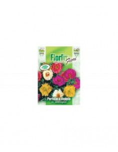 PORTULACA DOPPIA MIX