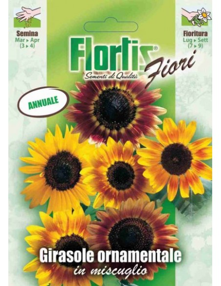 GIRASOLE ORNAMENTALE MIX