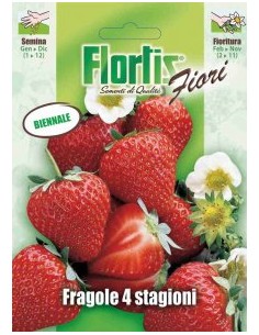 FRAGOLA 4 STAGIONI
