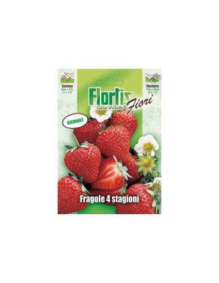 FRAGOLA 4 STAGIONI