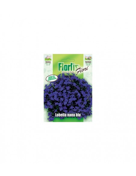 LOBELIA NANA BLU