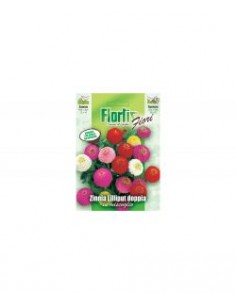 ZINNIA LILLIPUT DOPPIA MIX
