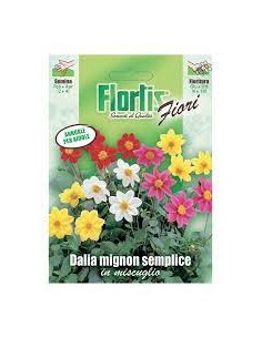 DALIA MIGNON SEMPLICE MIX