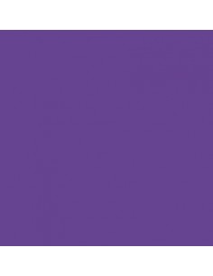 COLORANTE UNIVERSALE VIOLA...