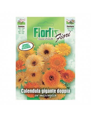 CALENDULA GIGANTE DOPPIA MIX