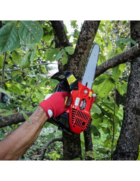 MOTOSEGA DA POTATURA EASY 26A CARVING CATALIZZATA