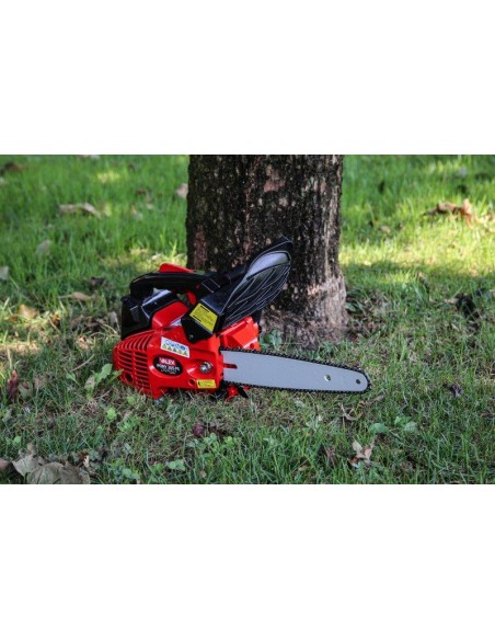 MOTOSEGA DA POTATURA EASY 26A CARVING CATALIZZATA