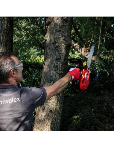 MOTOSEGA DA POTATURA EASY 26A CARVING... MOTOSEGA DA POTATURA EASY 26A CARVING...