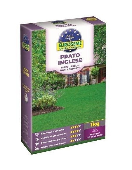 EUROSEME INGLESE 1000 G