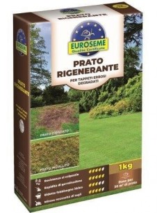 EUROSEME RIGENERANTE 1000 G
