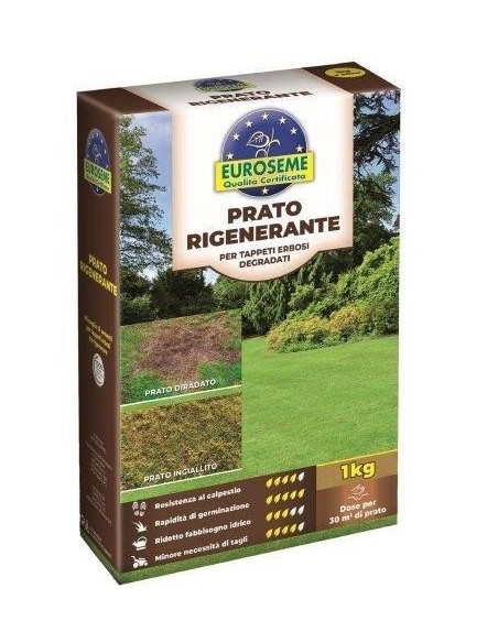 EUROSEME RIGENERANTE 1000 G