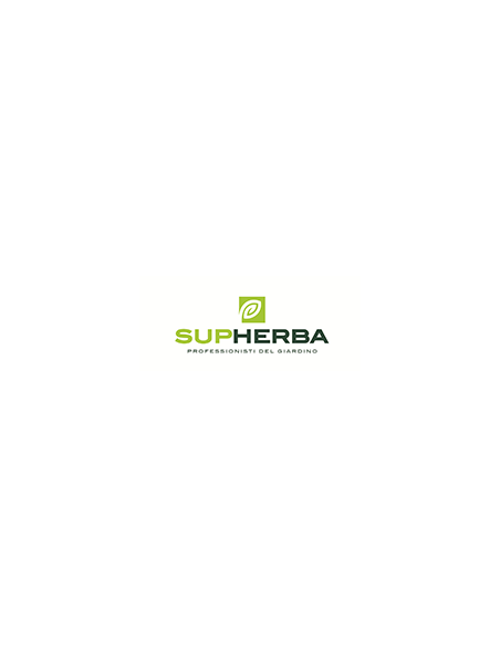 Supherba